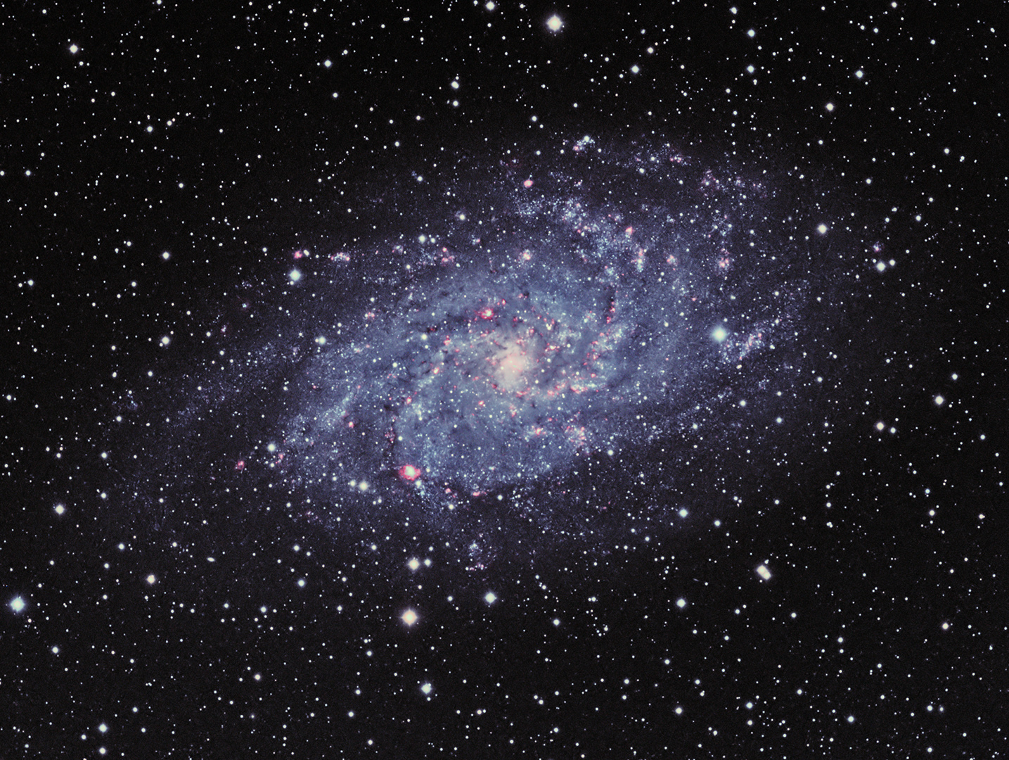 M33