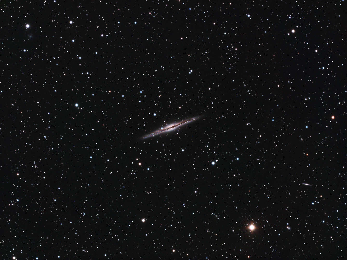 ngc891