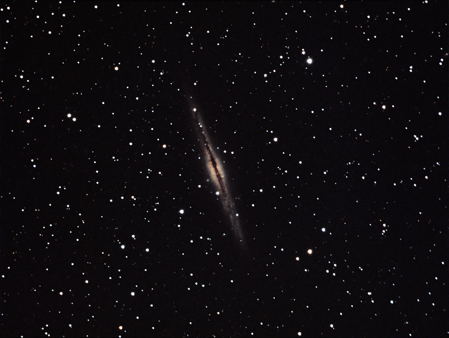 ngc891