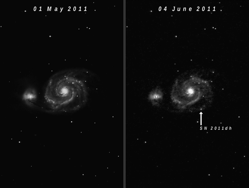 SN2011dh