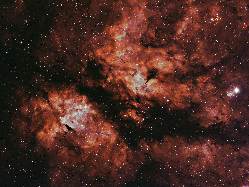 ic1318