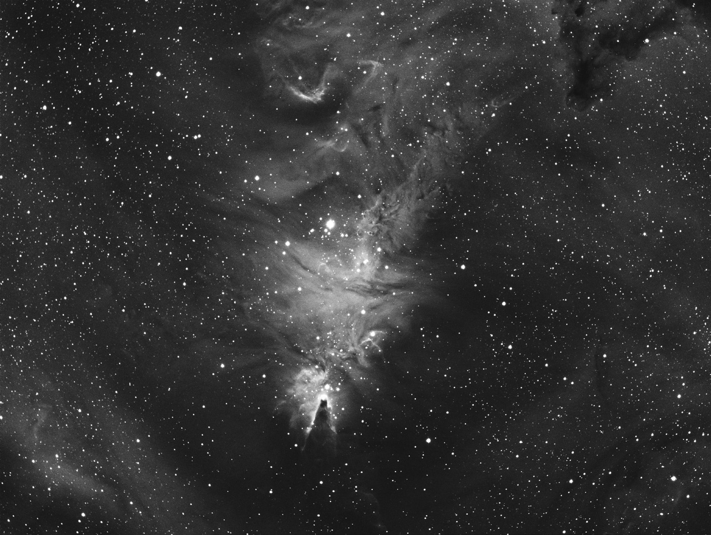 NGC2264