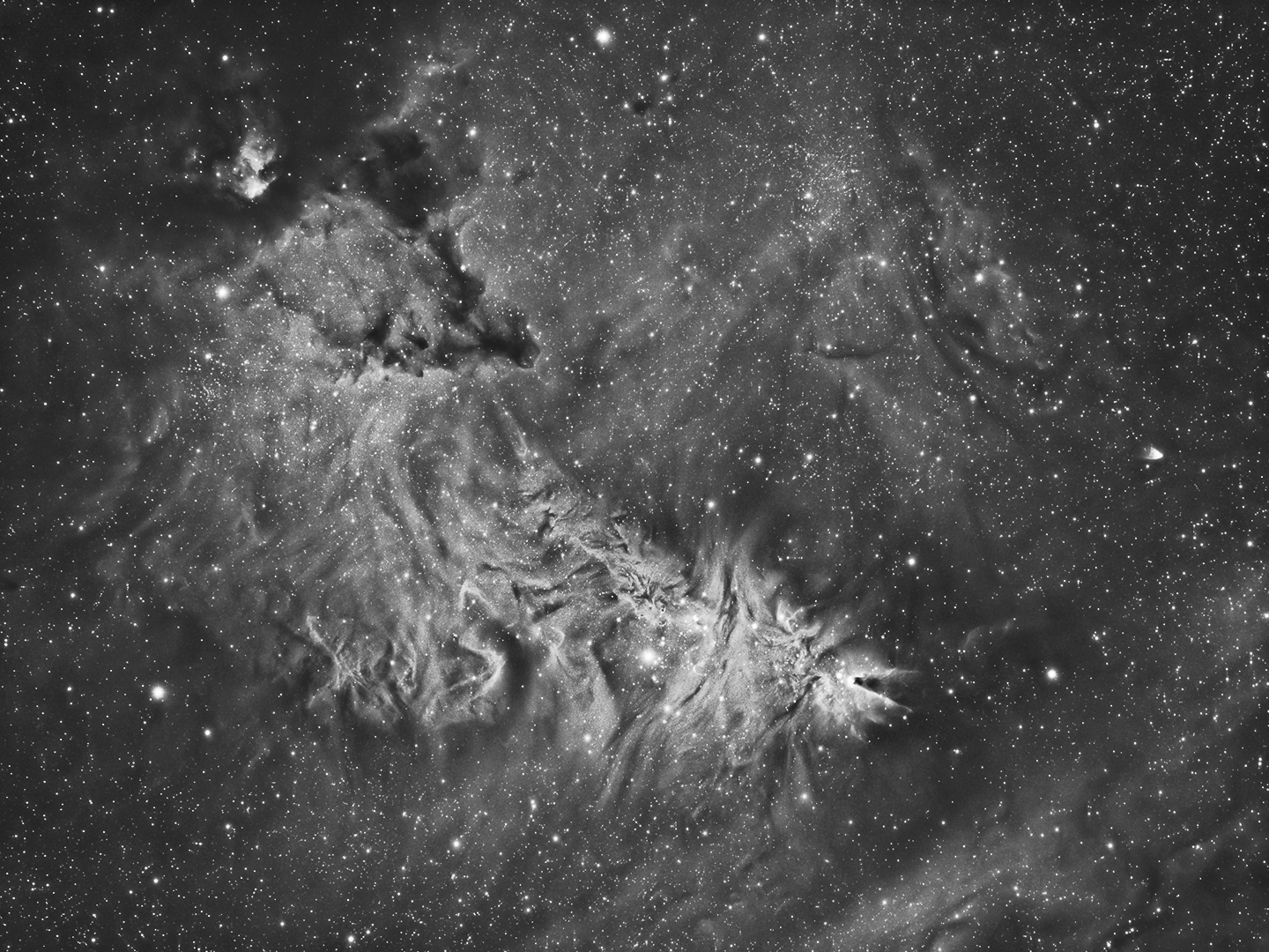 NGC2264