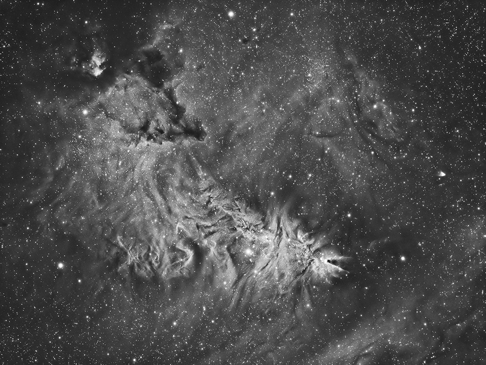 NGC2264