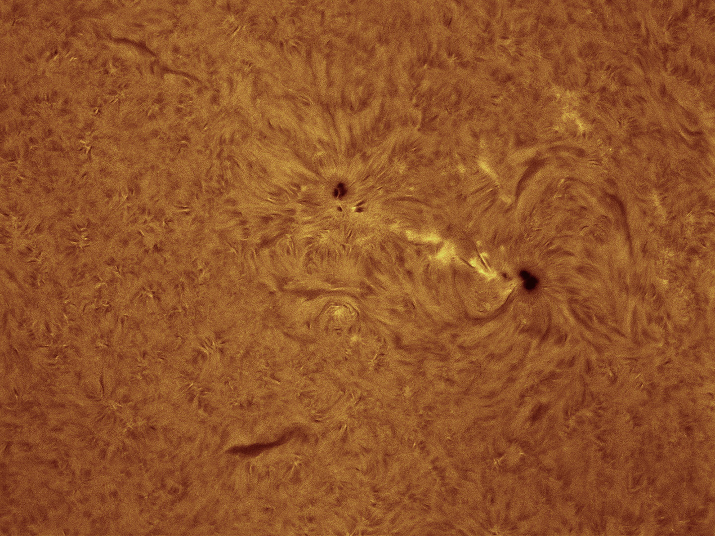 sunspot group