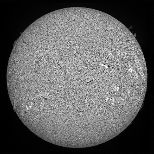 sun-full-disk
