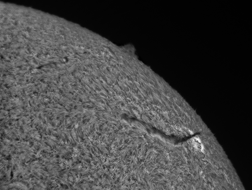 sun-ha