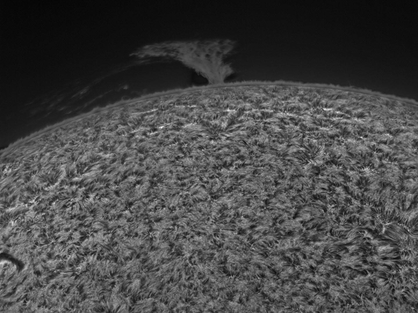 sun-ha