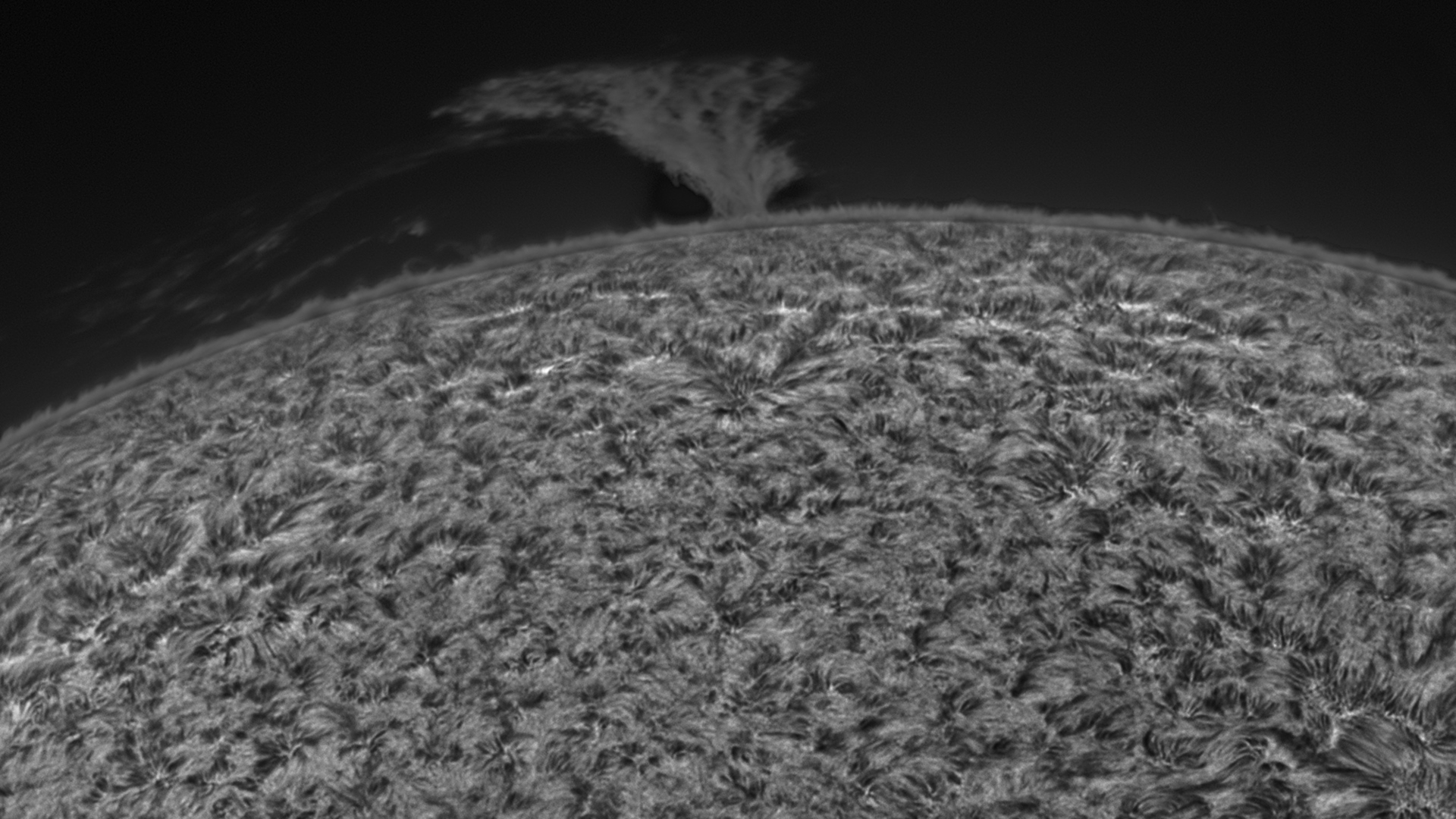 sun-ha