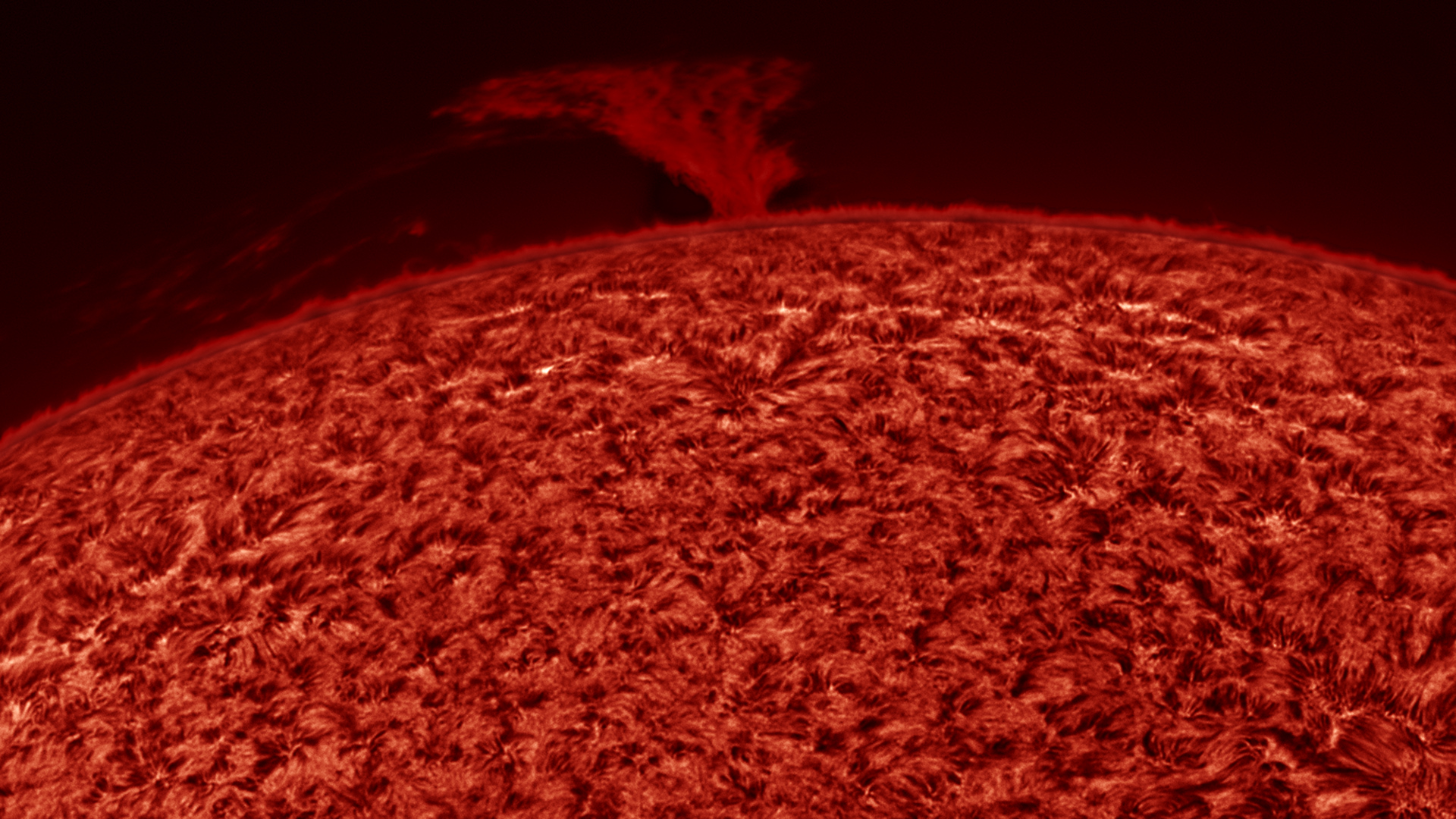 sun-ha