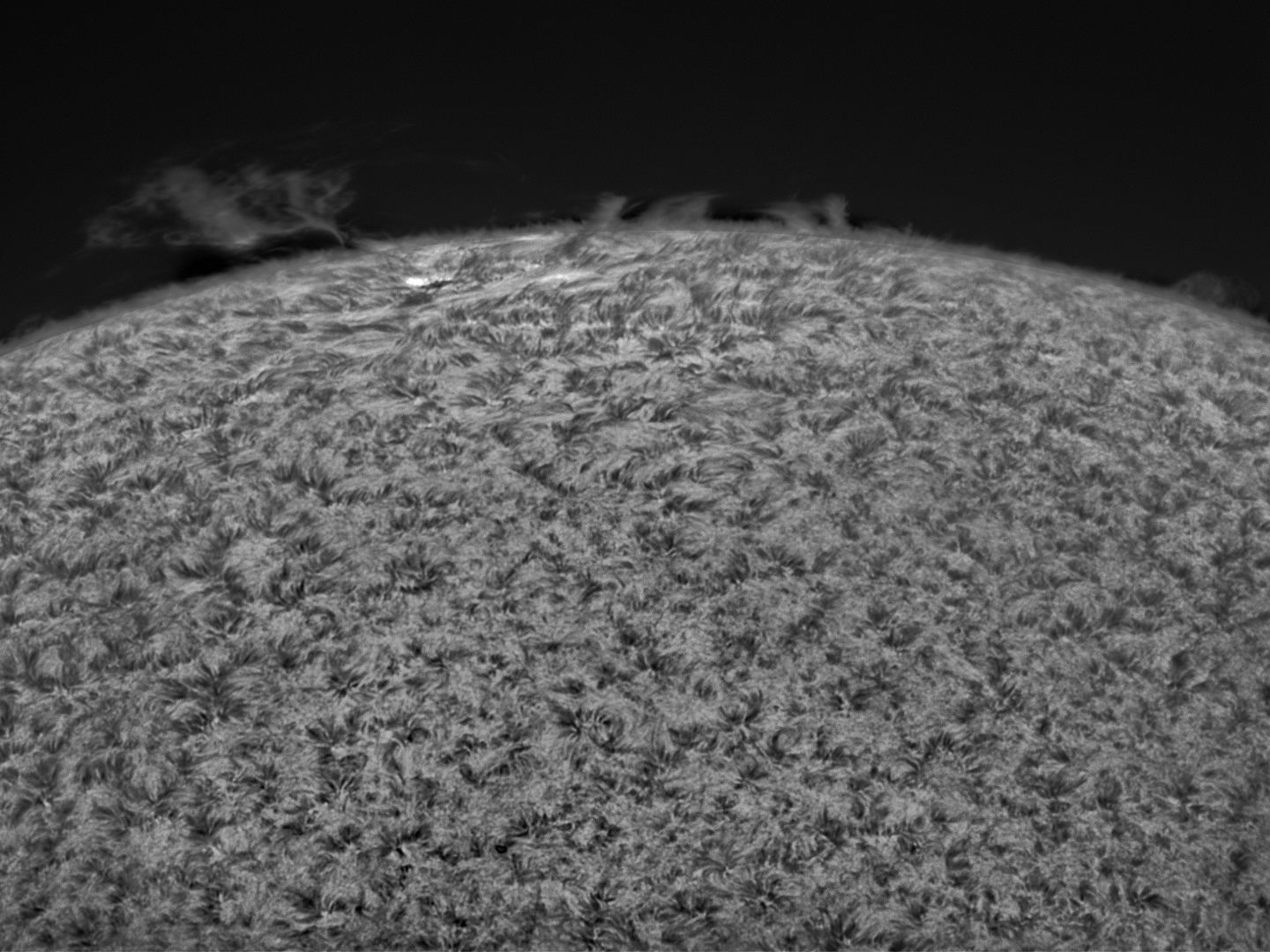 sun-ha