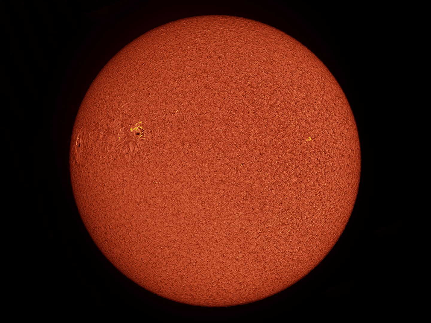 Sun