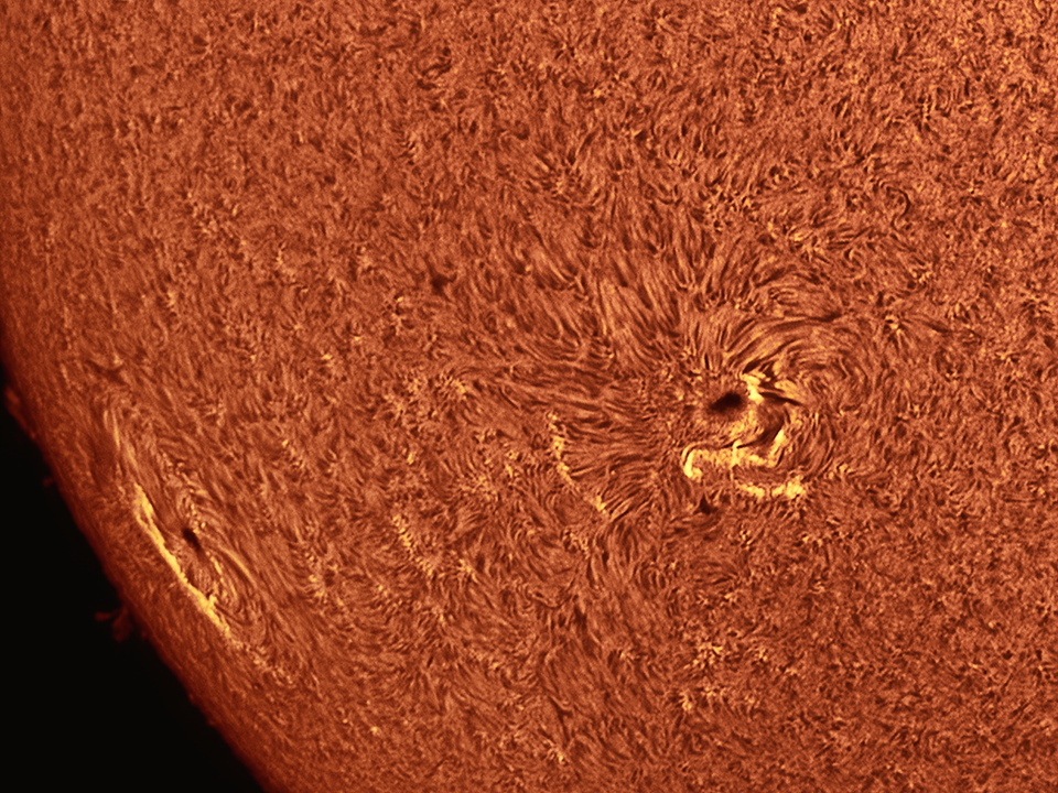 Sun