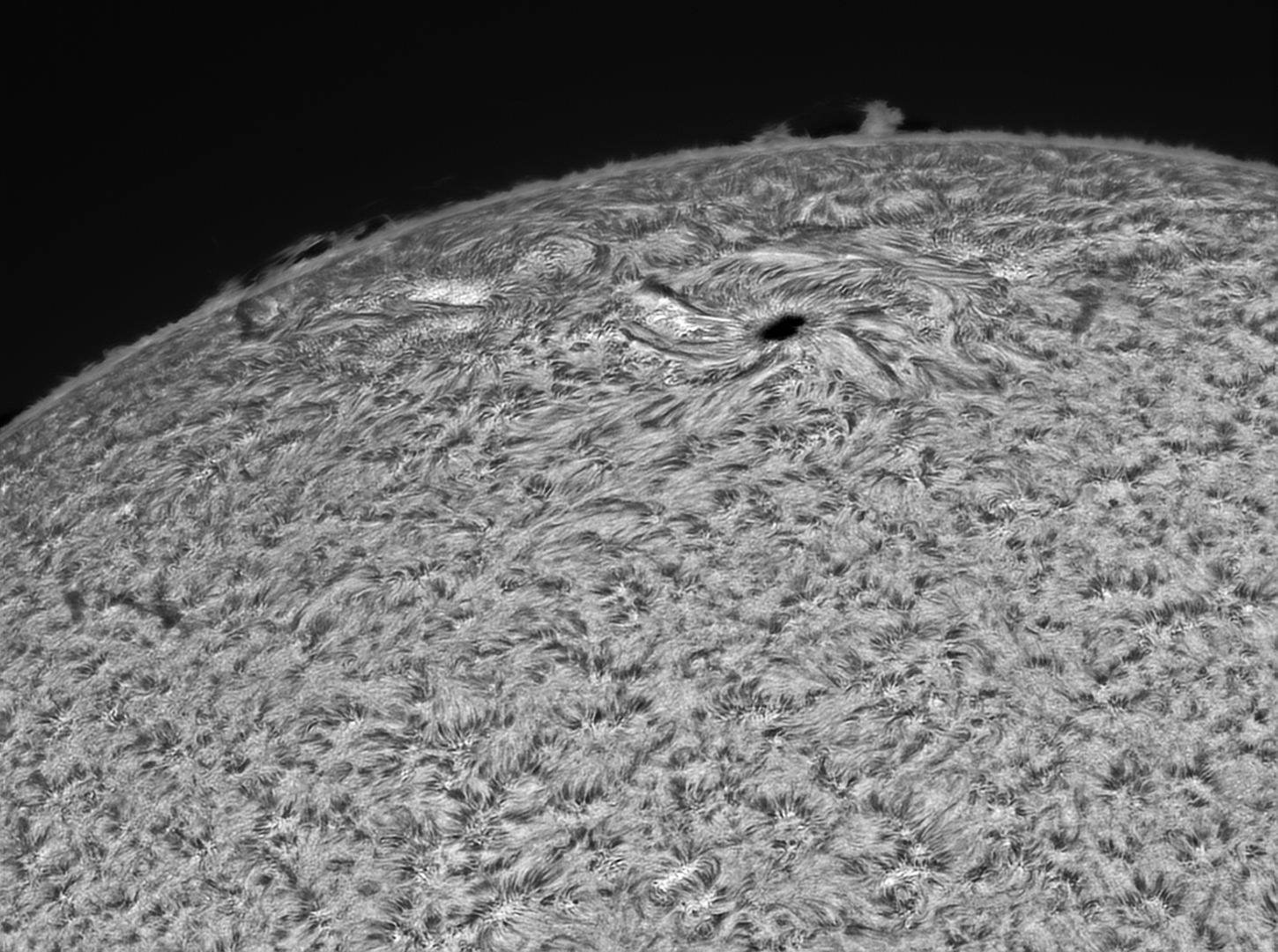 sun
