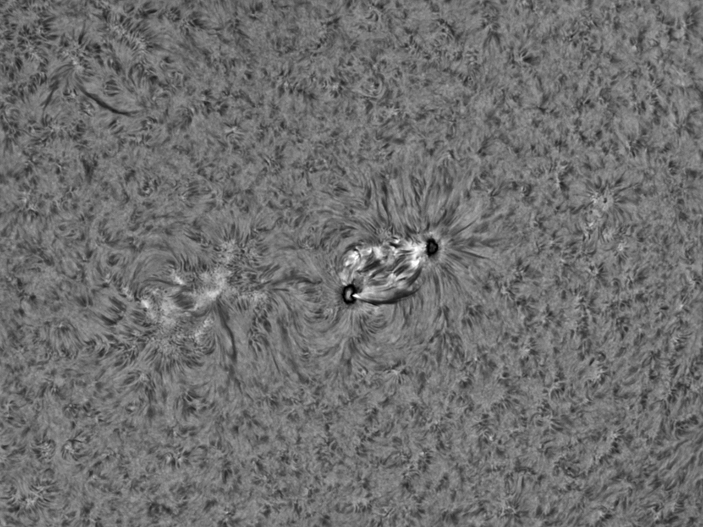 sun-ha