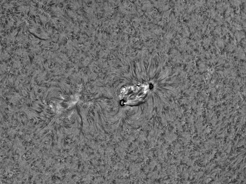 sun-ha