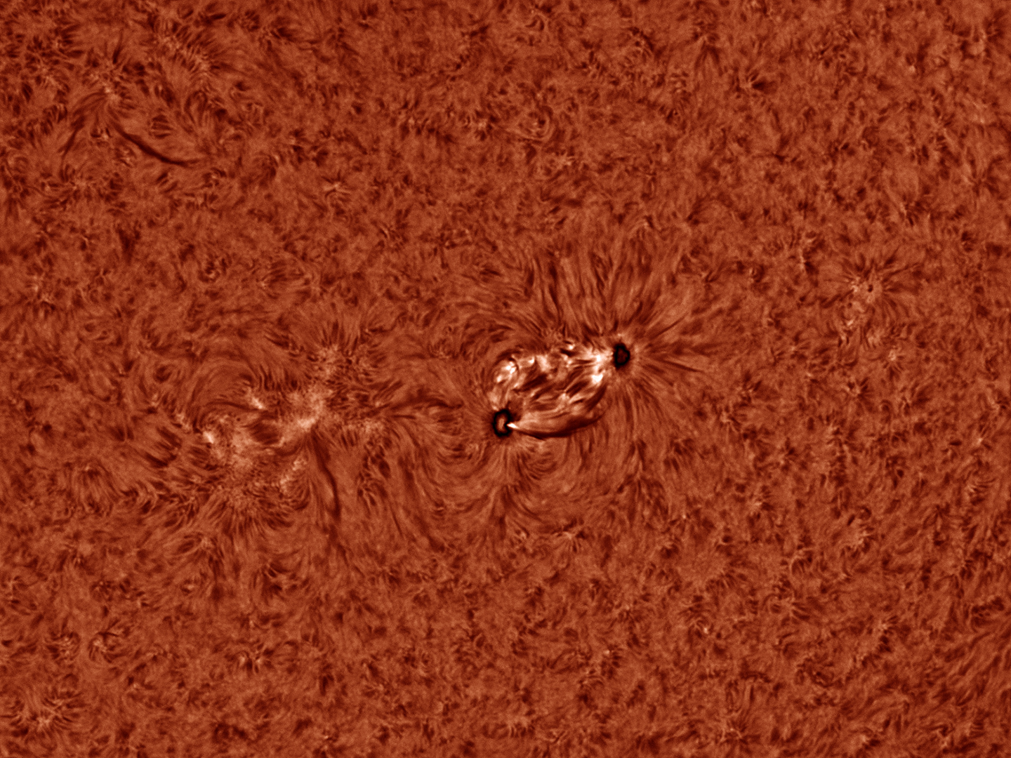 sun-ha