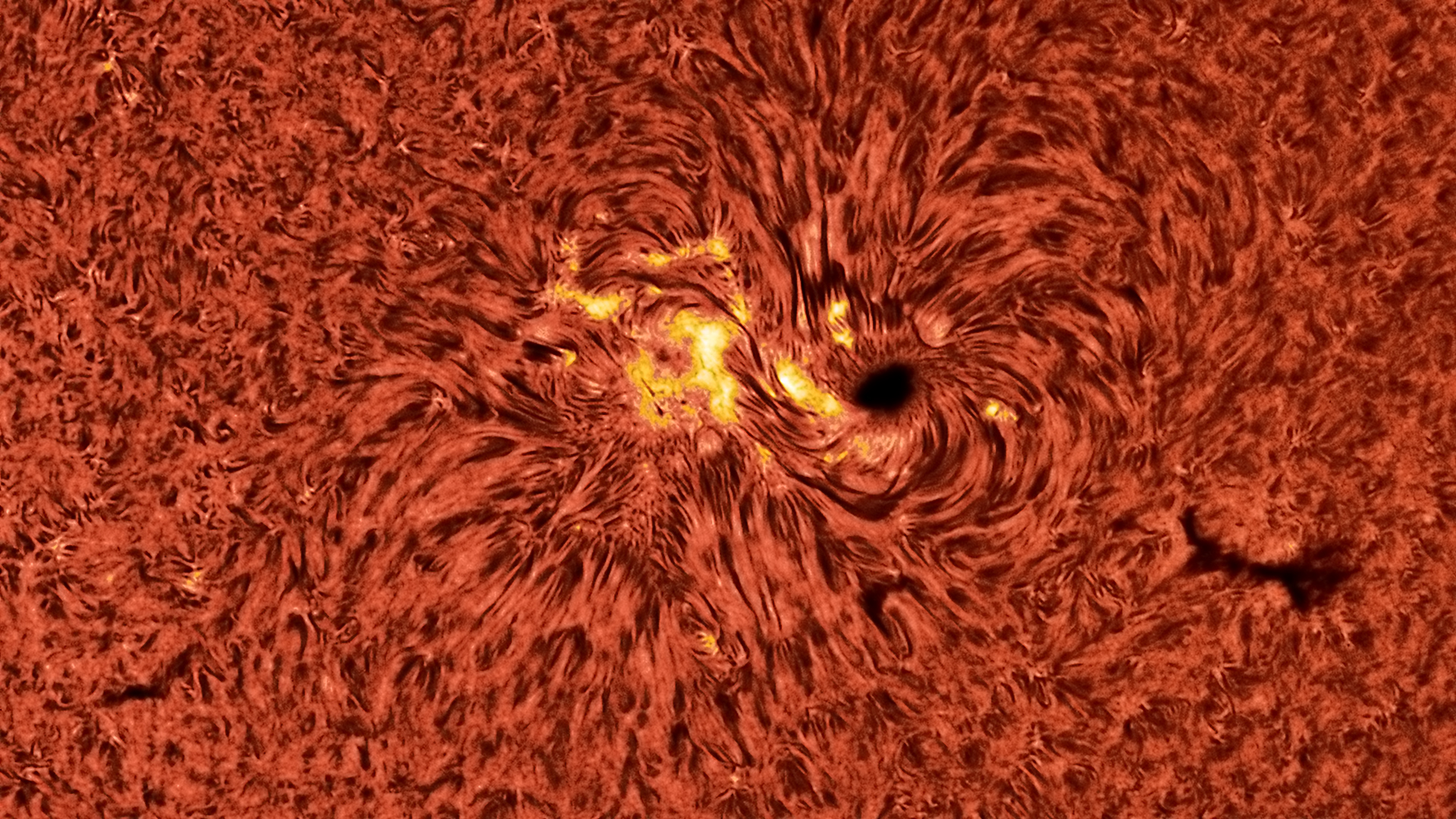 sun