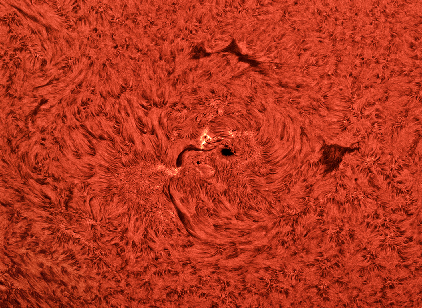 sun