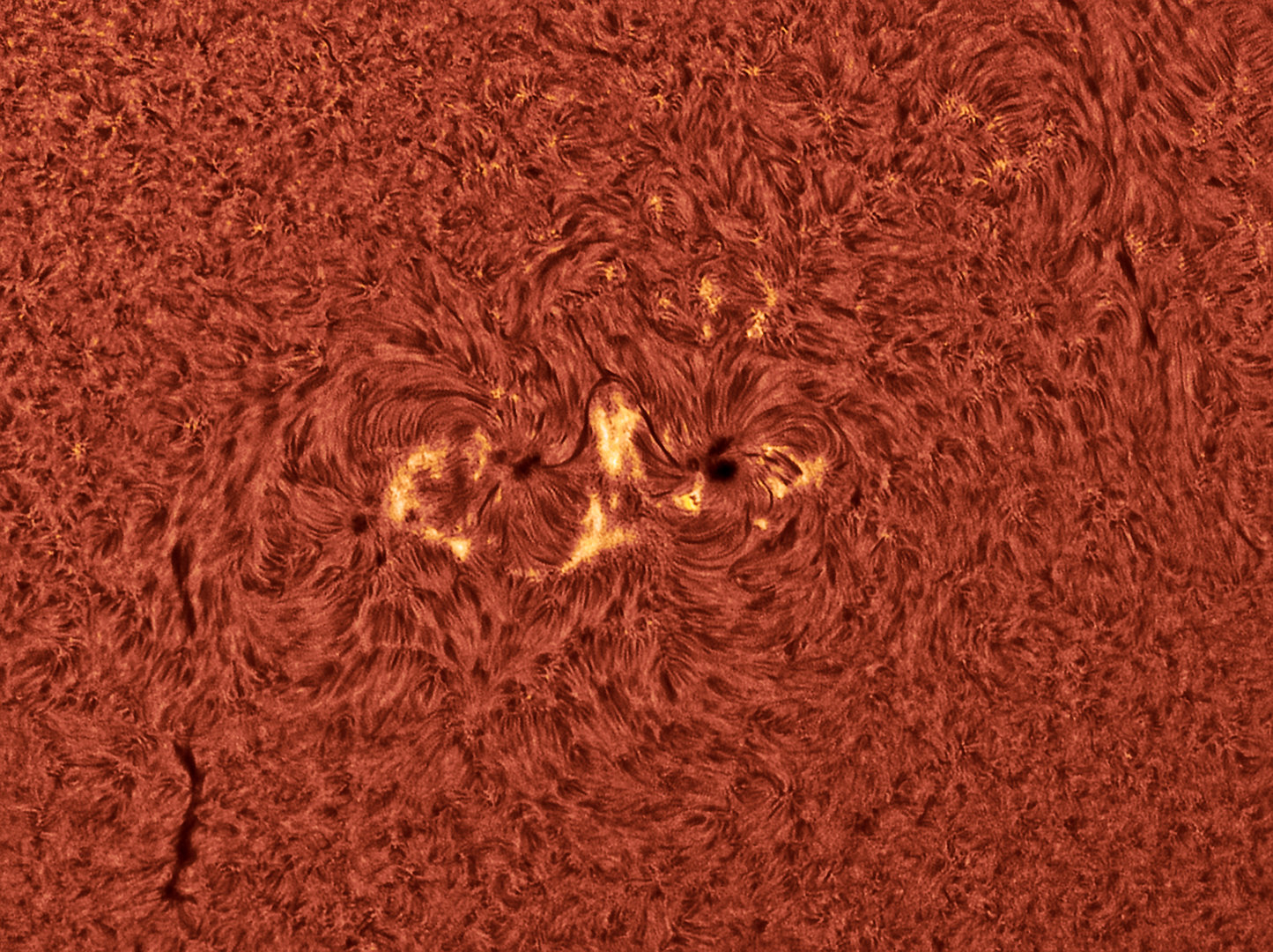 sun