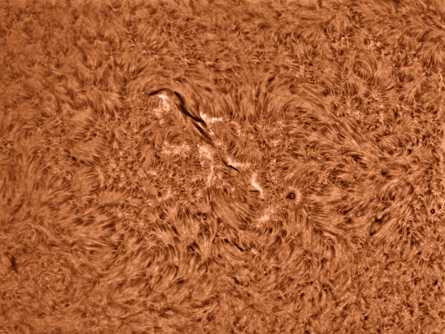 sun-ha