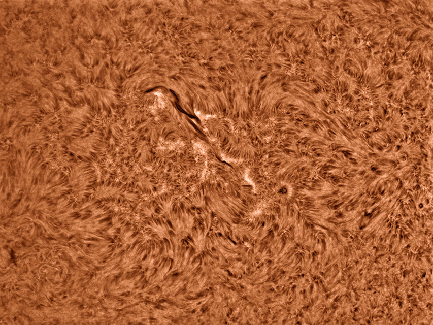 sun-ha