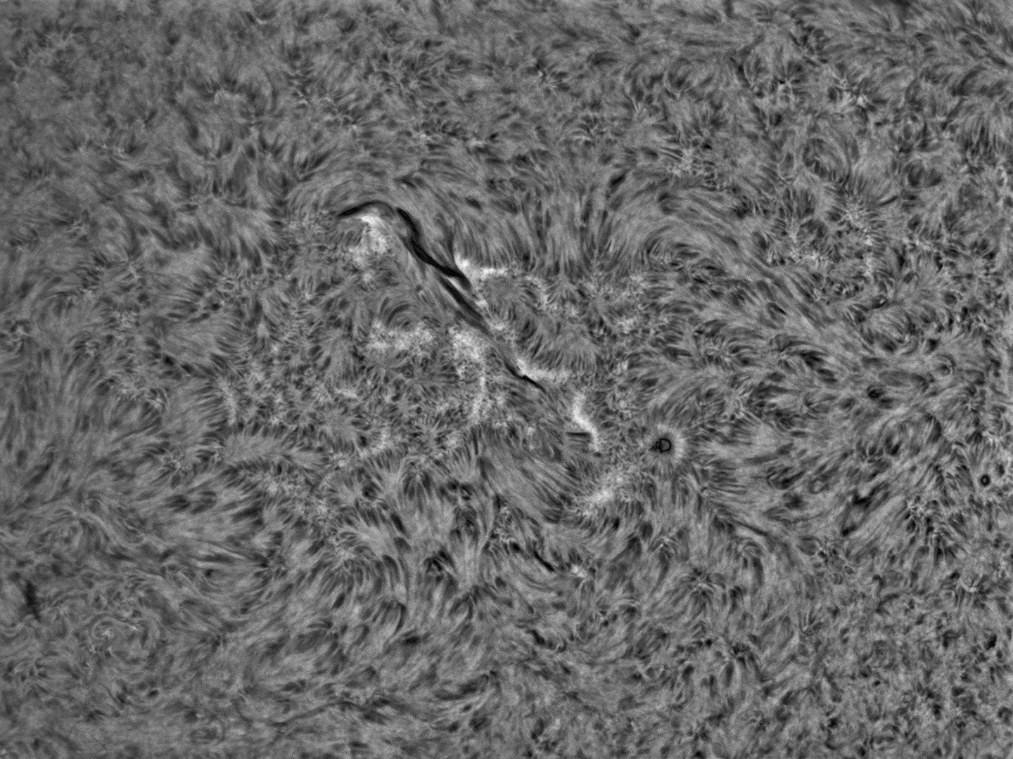 sun, ha