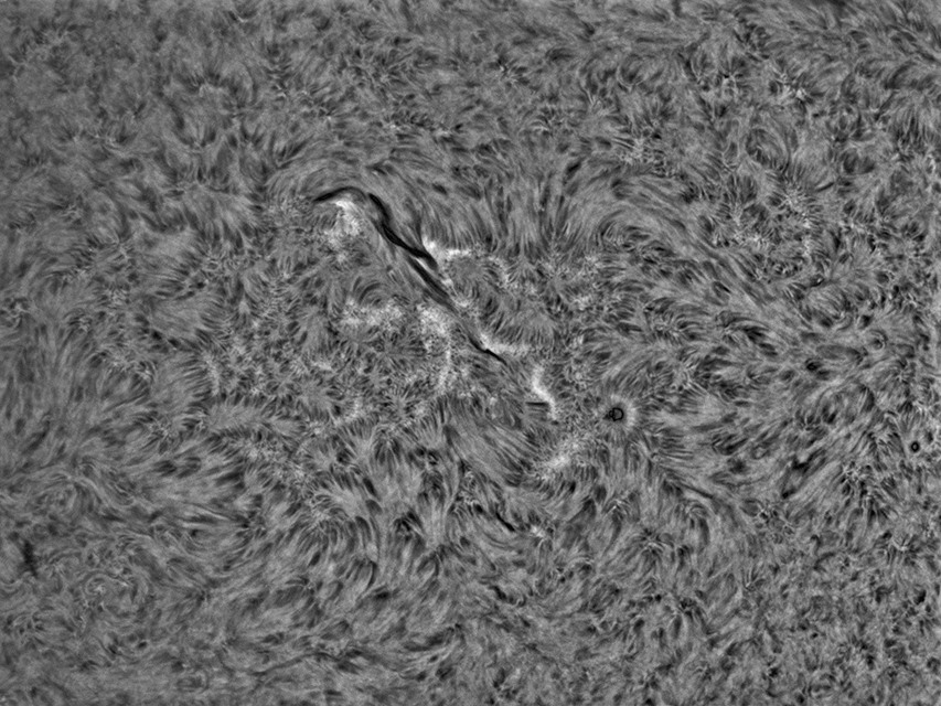 sun-ha