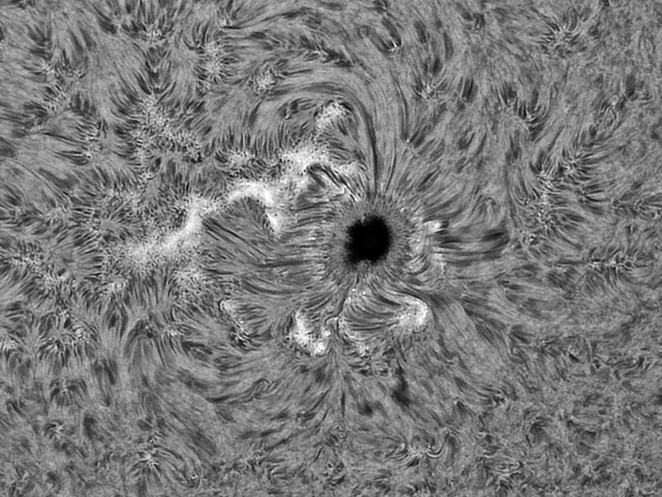 sun