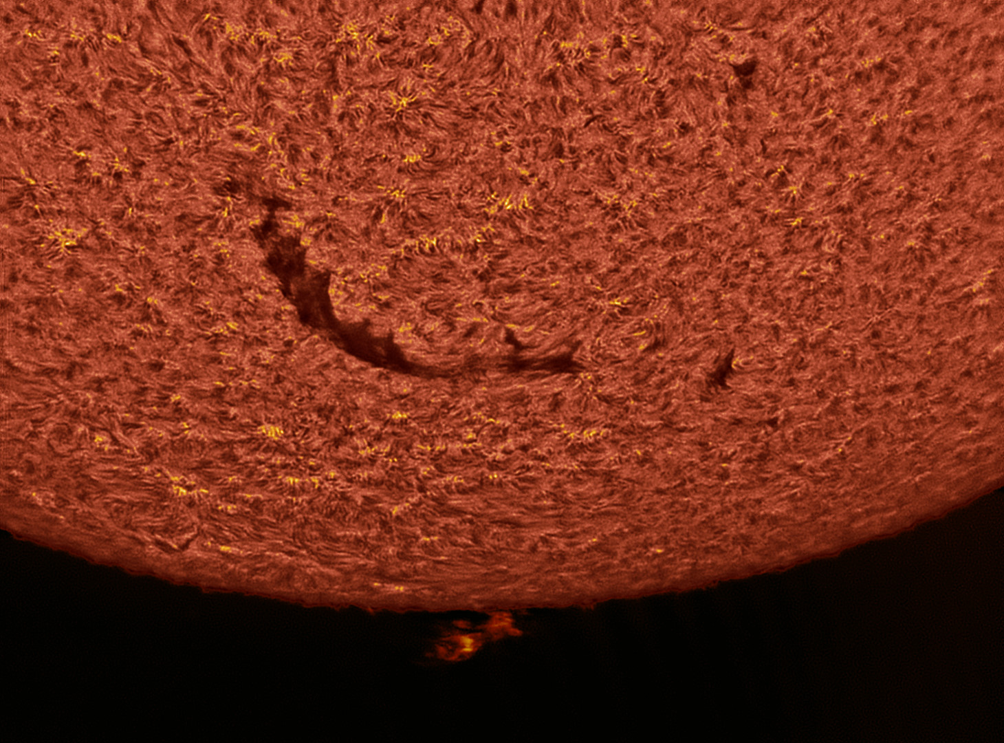 Sun