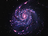 M101